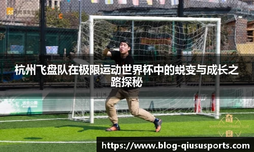 球速体育平台